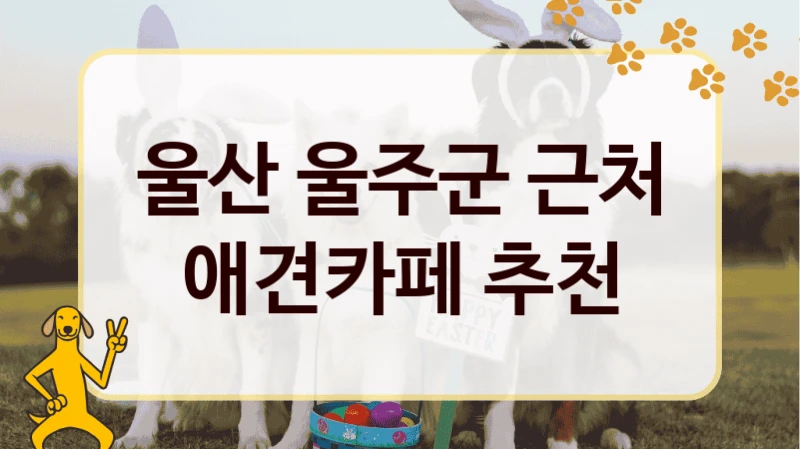 울산 울주군 근처 애견카페 추천