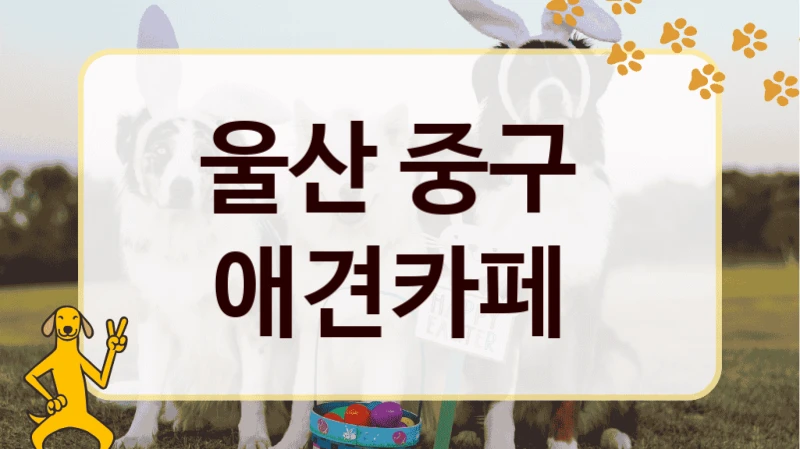 울산 중구  애견카페