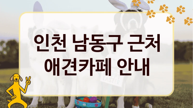 인천 남동구 근처 애견카페 안내