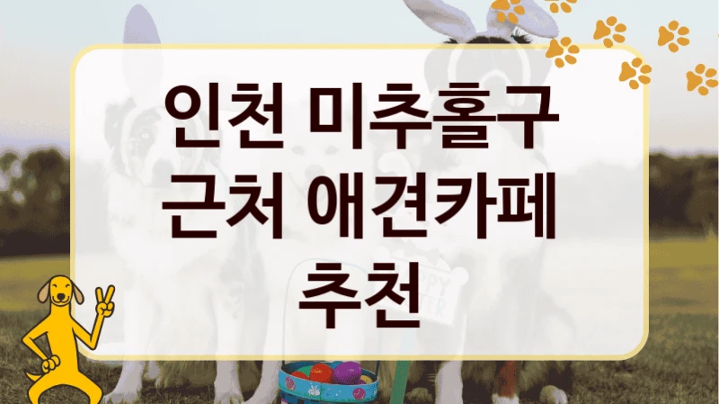 인천 미추홀구 근처 애견카페 추천