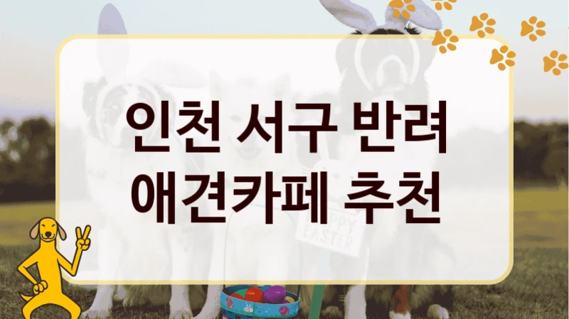 인천 서구 반려 애견카페 추천