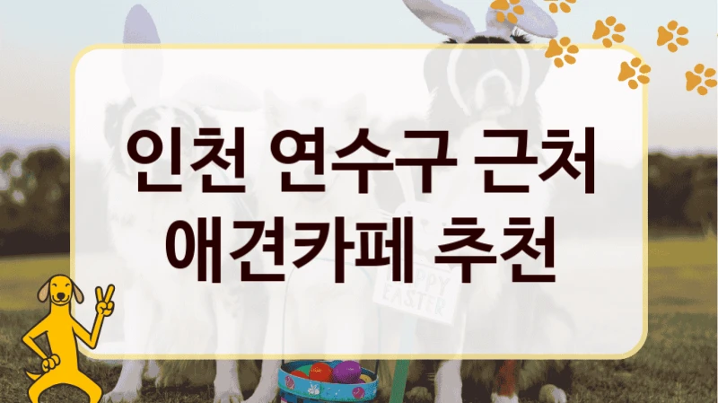 인천 연수구 근처 애견카페 추천
