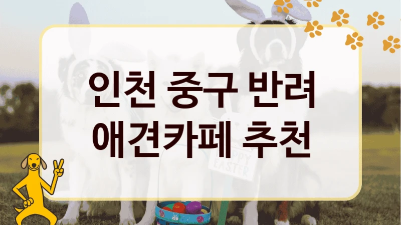 인천 중구 반려 애견카페 추천