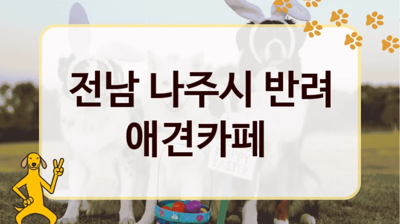 전남 나주시 반려 애견카페