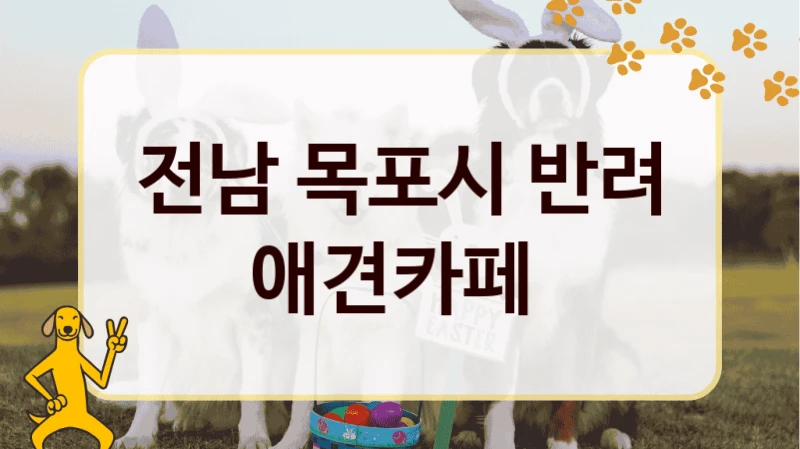 전남 목포시 반려 애견카페