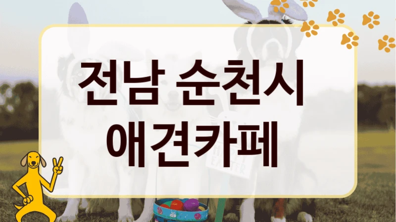 전남 순천시  애견카페
