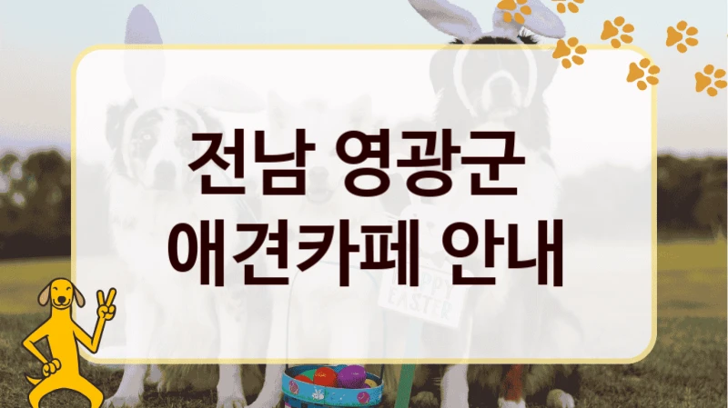 전남 영광군  애견카페 안내
