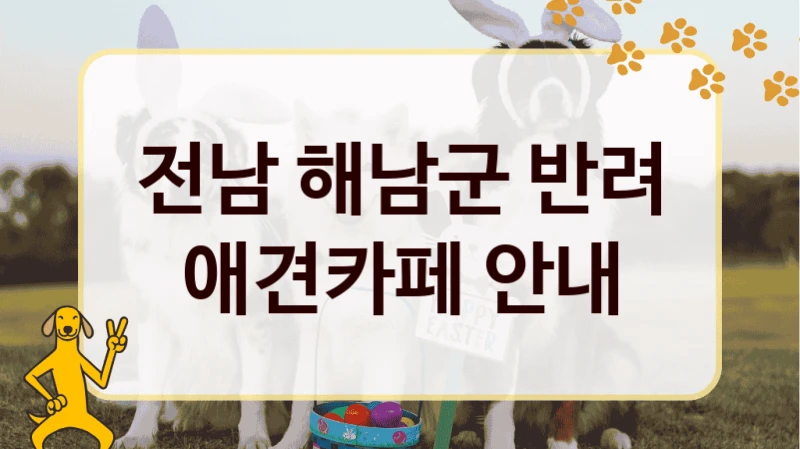 전남 해남군 반려 애견카페 안내
