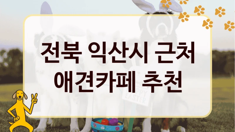 전북 익산시 근처 애견카페 추천