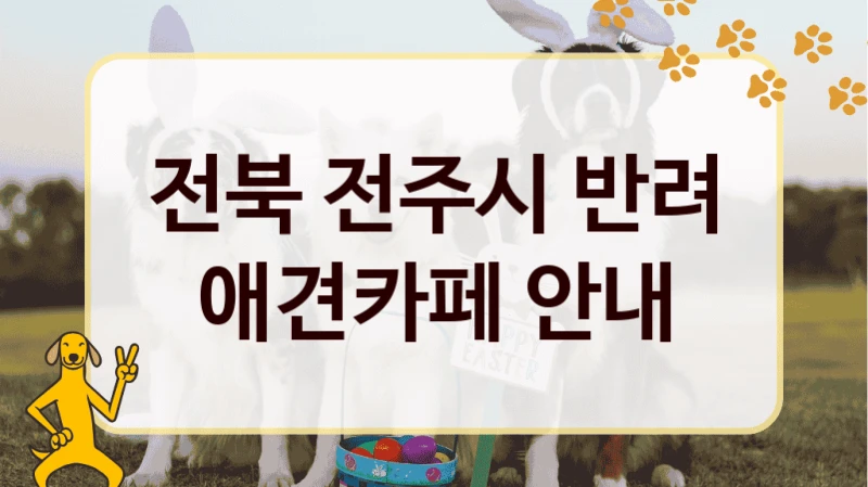 전북 전주시 반려견 전용 애견카페 핫플레이스, 가격과 서비스 안내