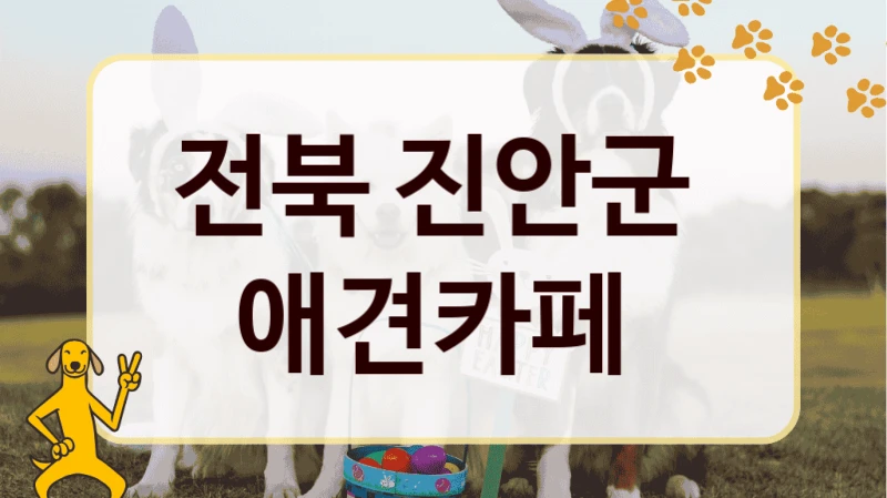 전북 진안군  애견카페