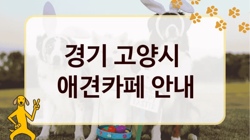 경기 고양시  애견카페 안내
