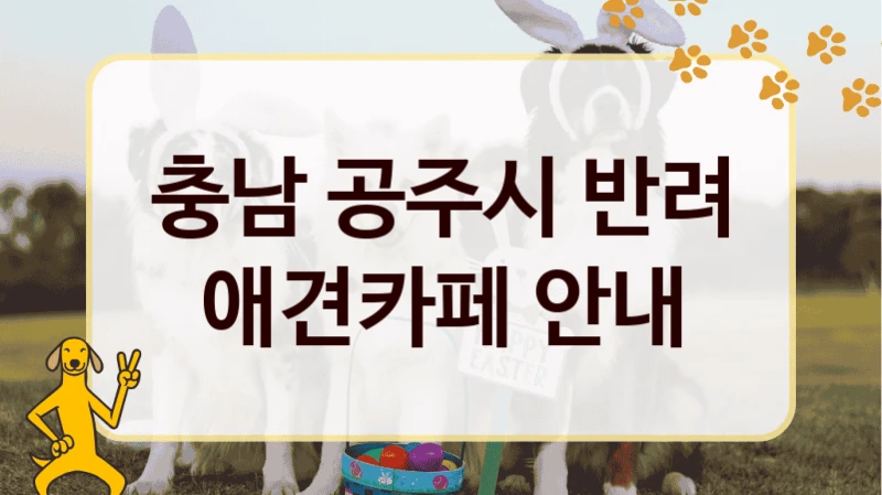 충남 공주시 반려 애견카페 안내