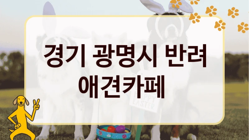 경기 광명시 반려 애견카페
