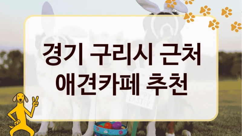 경기 구리시 근처 애견카페 추천
