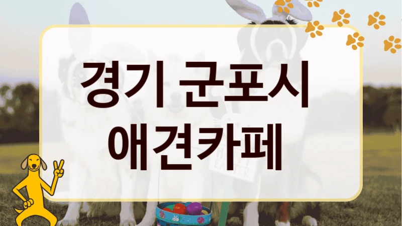 경기 군포시  애견카페