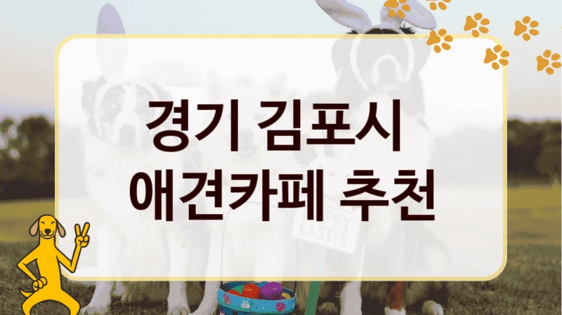 경기 김포시  애견카페 추천