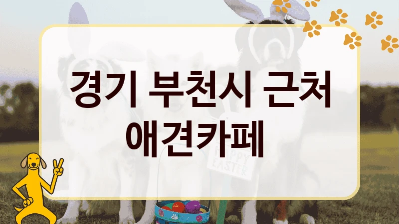 경기 부천시 근처 애견카페