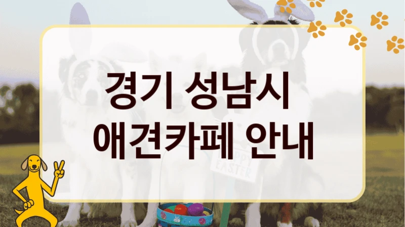 경기 성남시  애견카페 안내