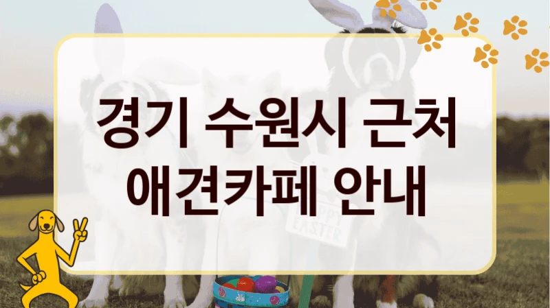 경기 수원시 근처 애견카페 안내