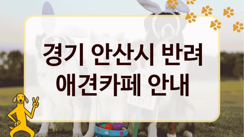 경기 안산시 반려 애견카페 안내