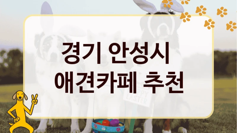 경기 안성시  애견카페 추천