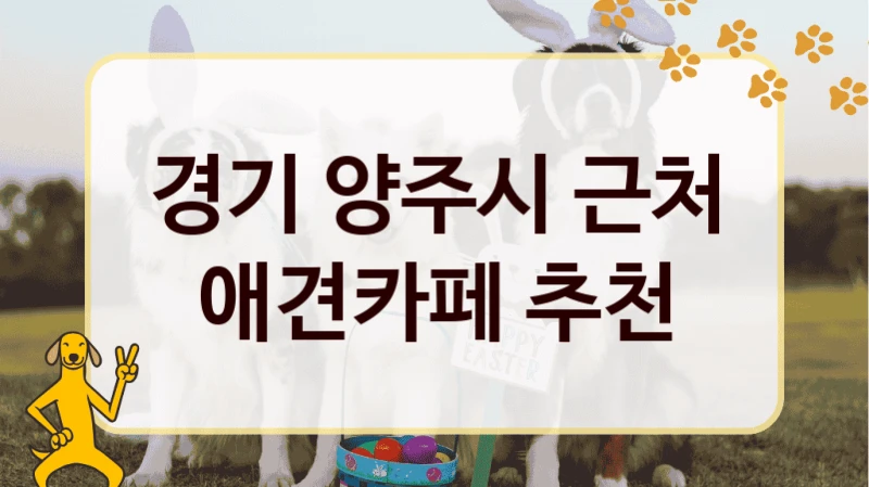 경기 양주시 근처 애견카페 추천