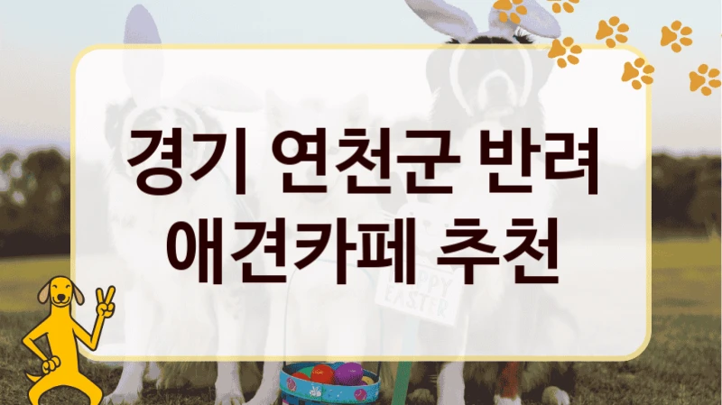 경기 연천군 반려 애견카페 추천