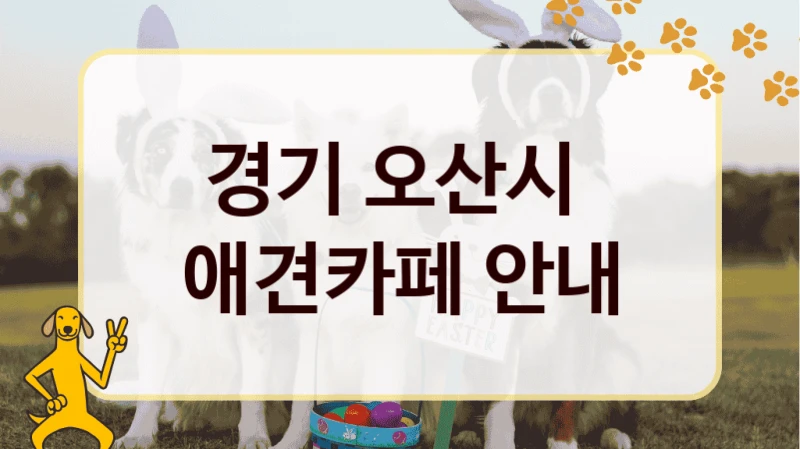 경기 오산시  애견카페 안내