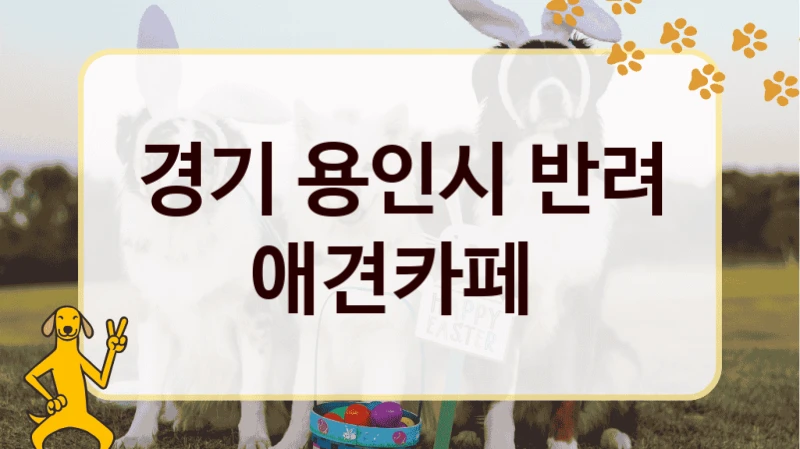 경기 용인시 반려 애견카페