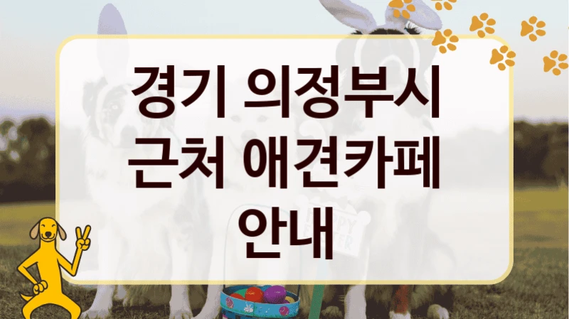 경기 의정부시 근처 애견카페 안내