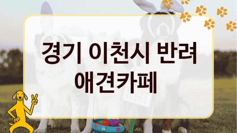경기 이천시 반려 애견카페