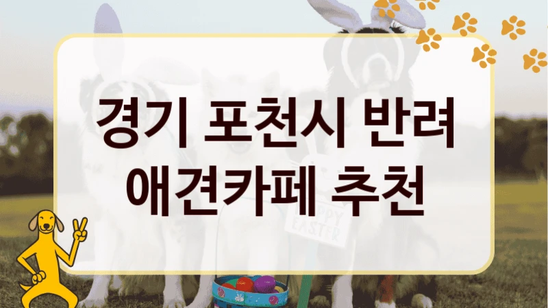 경기 포천시 반려 애견카페 추천