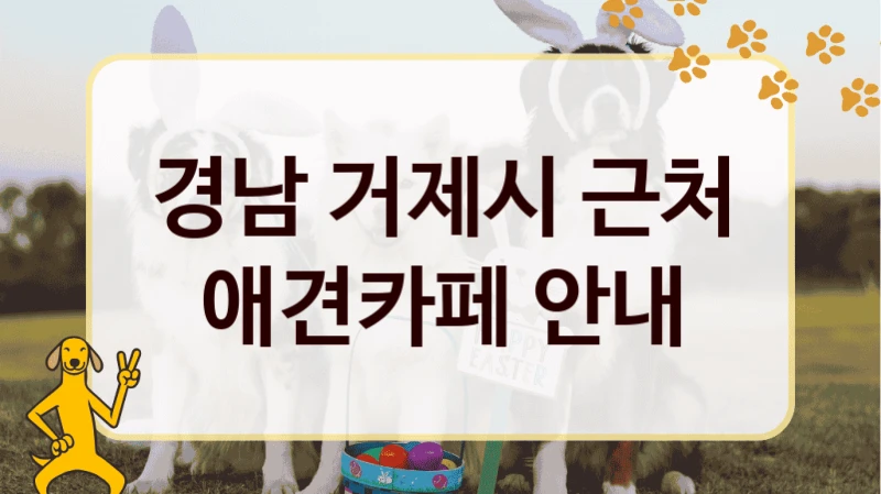 경남 거제시 근처 애견카페 안내