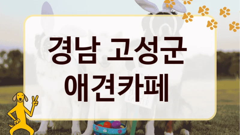 경남 고성군  애견카페