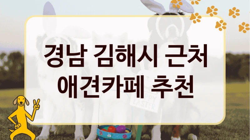 경남 김해시 근처 애견카페 추천