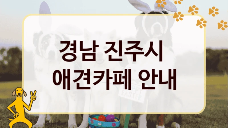 경남 진주시  애견카페 안내