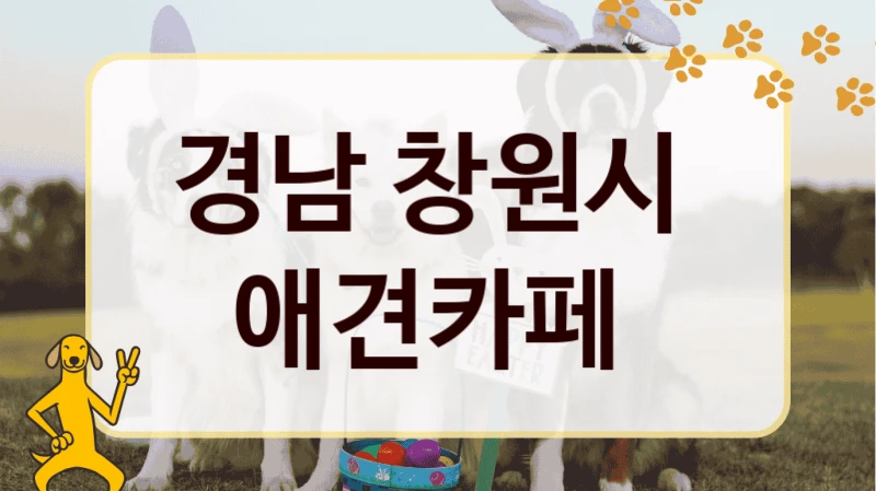 경남 창원시  애견카페