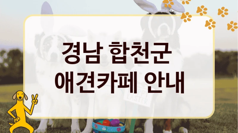 경남 합천군  애견카페 안내