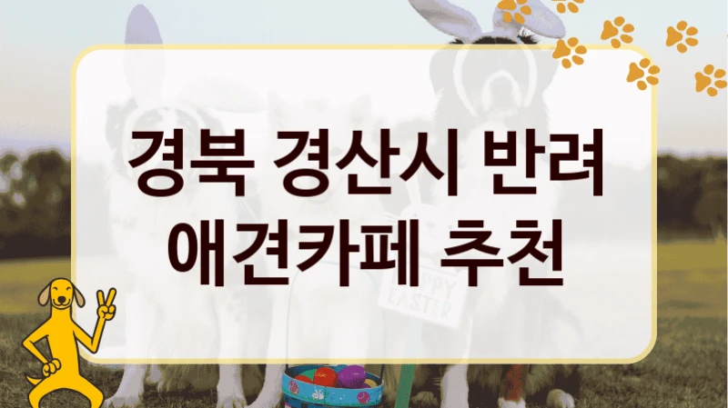 경북 경산시 반려 애견카페 추천