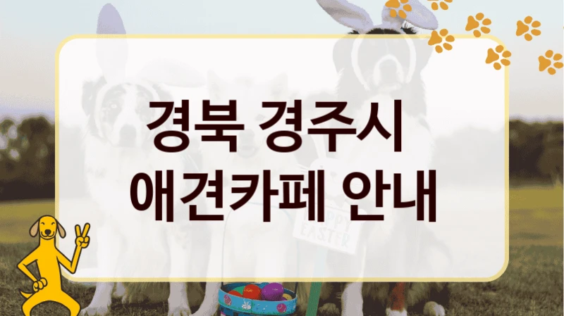 경북 경주시  애견카페 안내