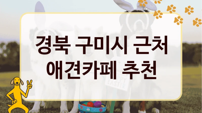 경북 구미시 근처 애견카페 추천