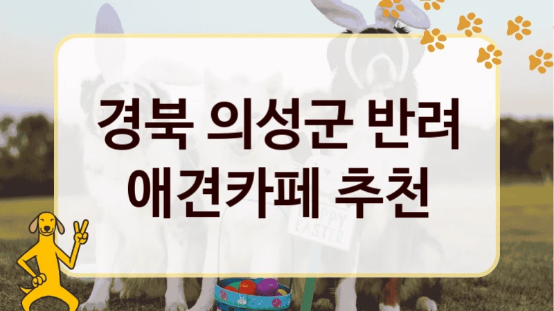 경북 의성군 반려 애견카페 추천
