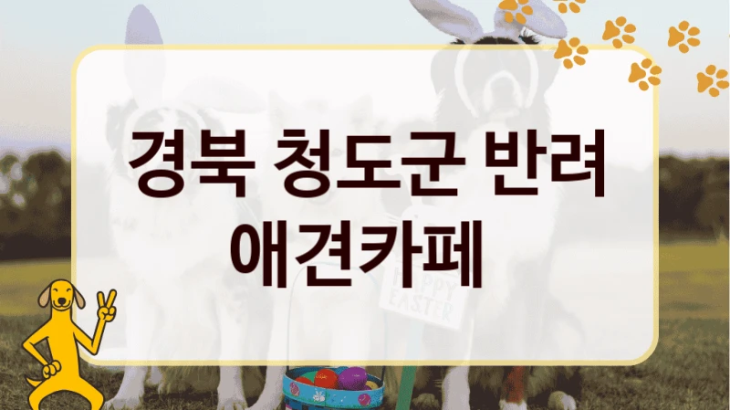 경북 청도군 반려 애견카페