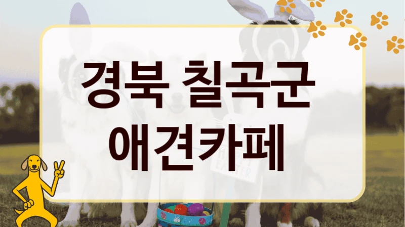 경북 칠곡군  애견카페
