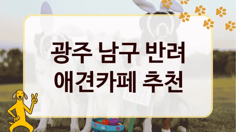광주 남구 반려 애견카페 추천