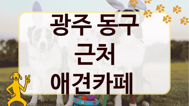 광주 동구 근처 애견카페