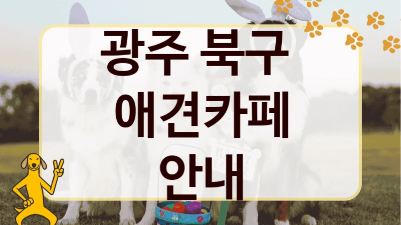 광주 북구  애견카페 안내