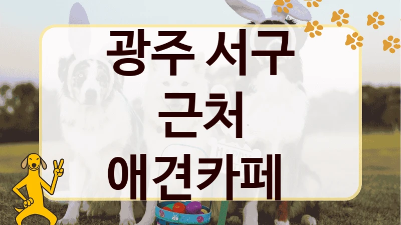 광주 서구 근처 애견카페
