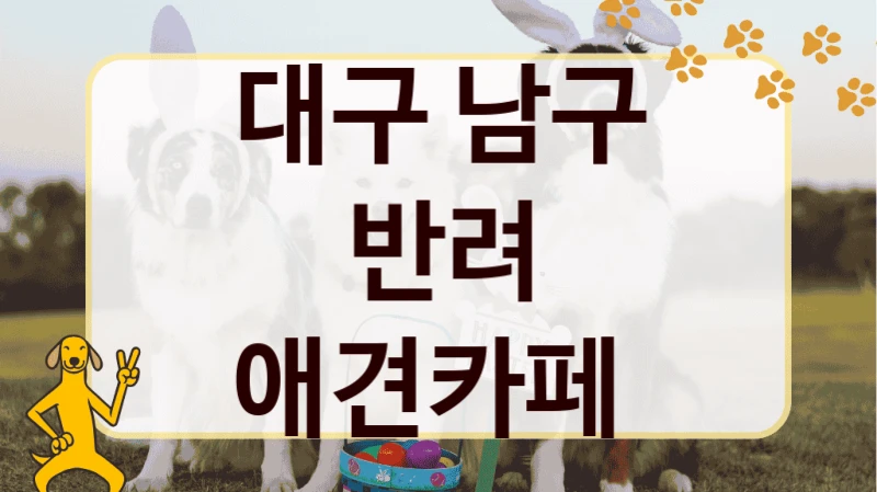 대구 남구 반려 애견카페